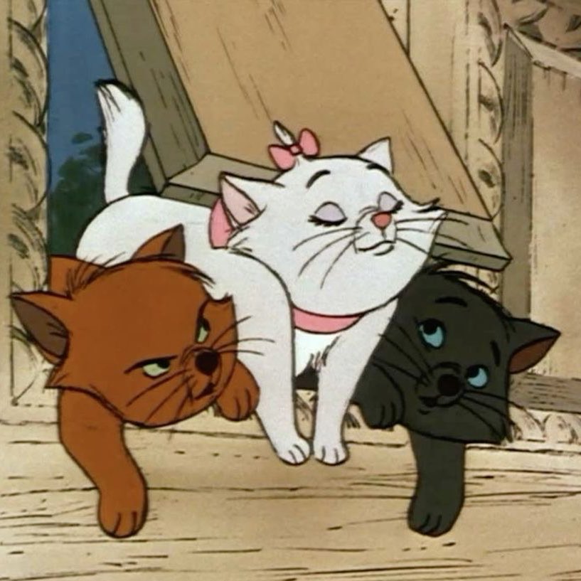 seoforyoungseo ʚɞ tweet media