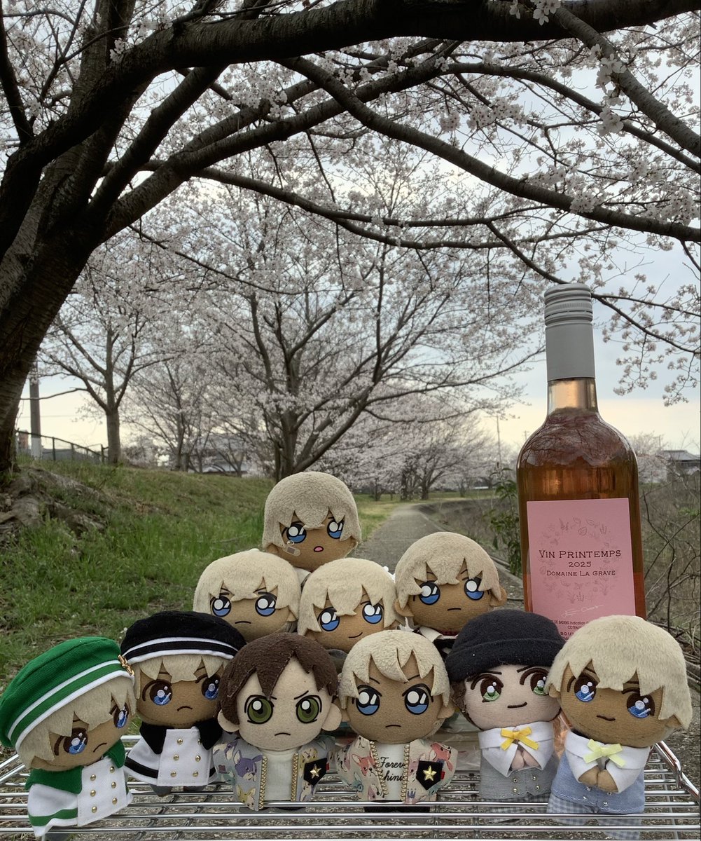 8gimini's tweet photo. うちの近所でぬいちゃん達と花見🌸🍷
寒いです😨w https://t.co/8ohHpfskUZ