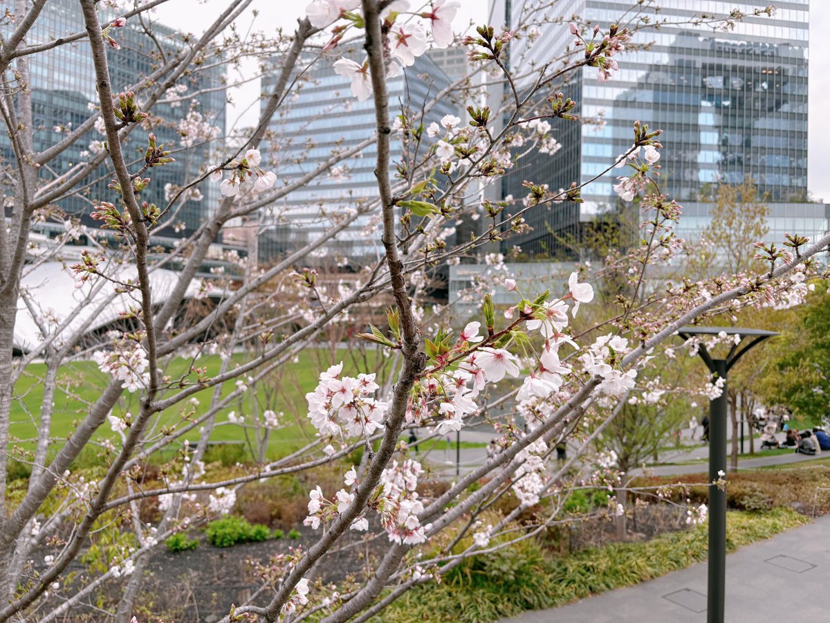 えりち tweet media