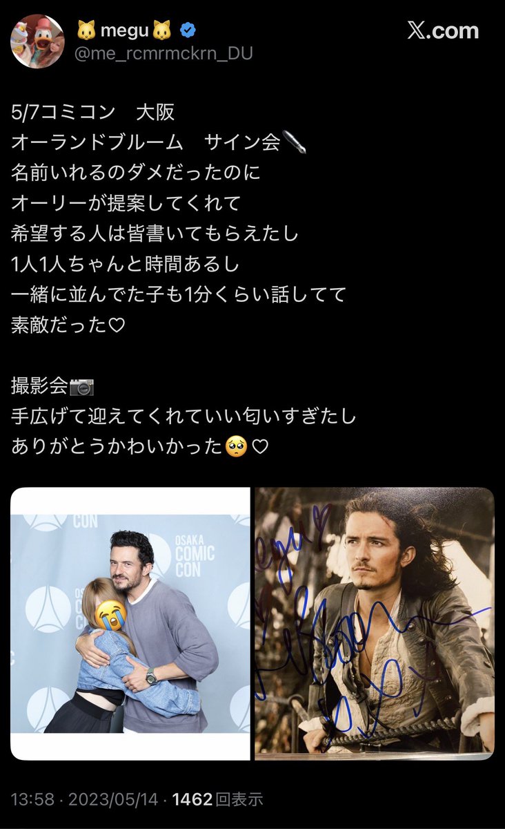 不可逆性ｽｰﾊﾟｰﾘﾄﾙ猫ﾌﾟﾗｽ tweet media