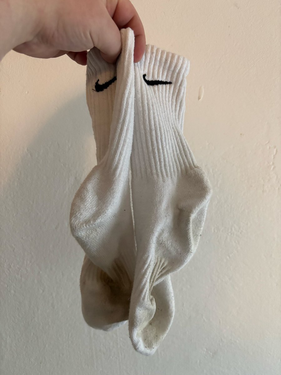 Tim_Master tweet media