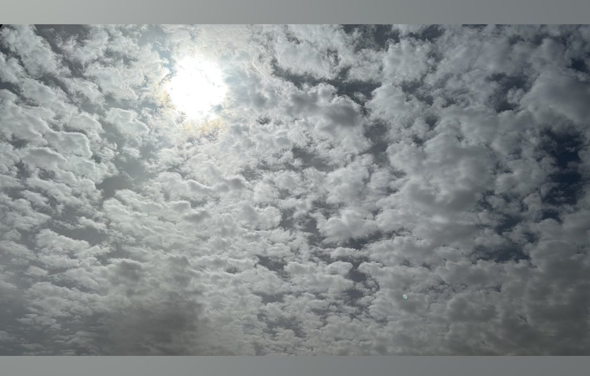 shadow911_ tweet media