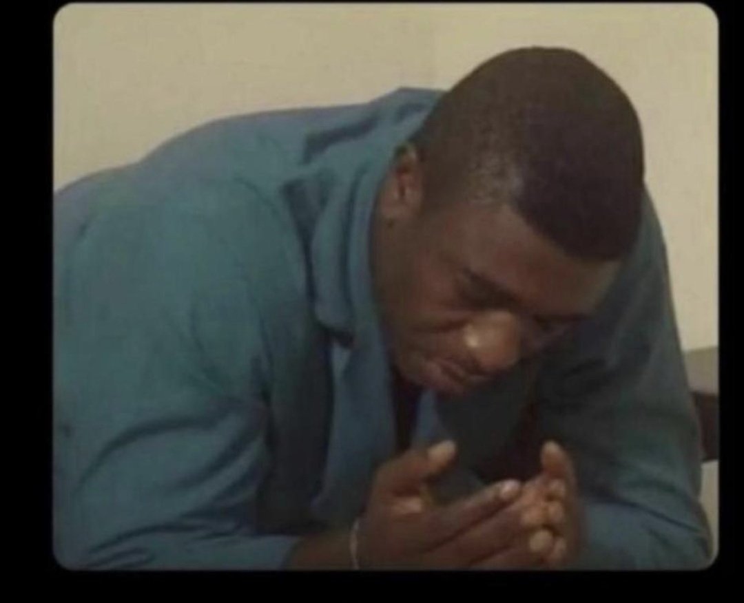 /\/\|)ee🦁 tweet media