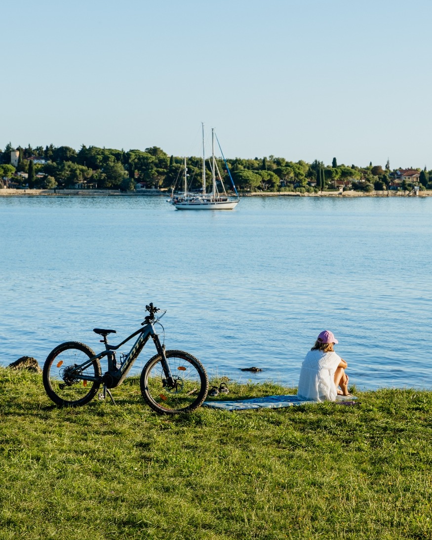 Colours of Istria tweet media