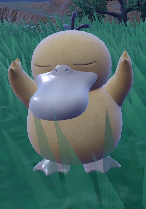 いい天気☀️ tweet media