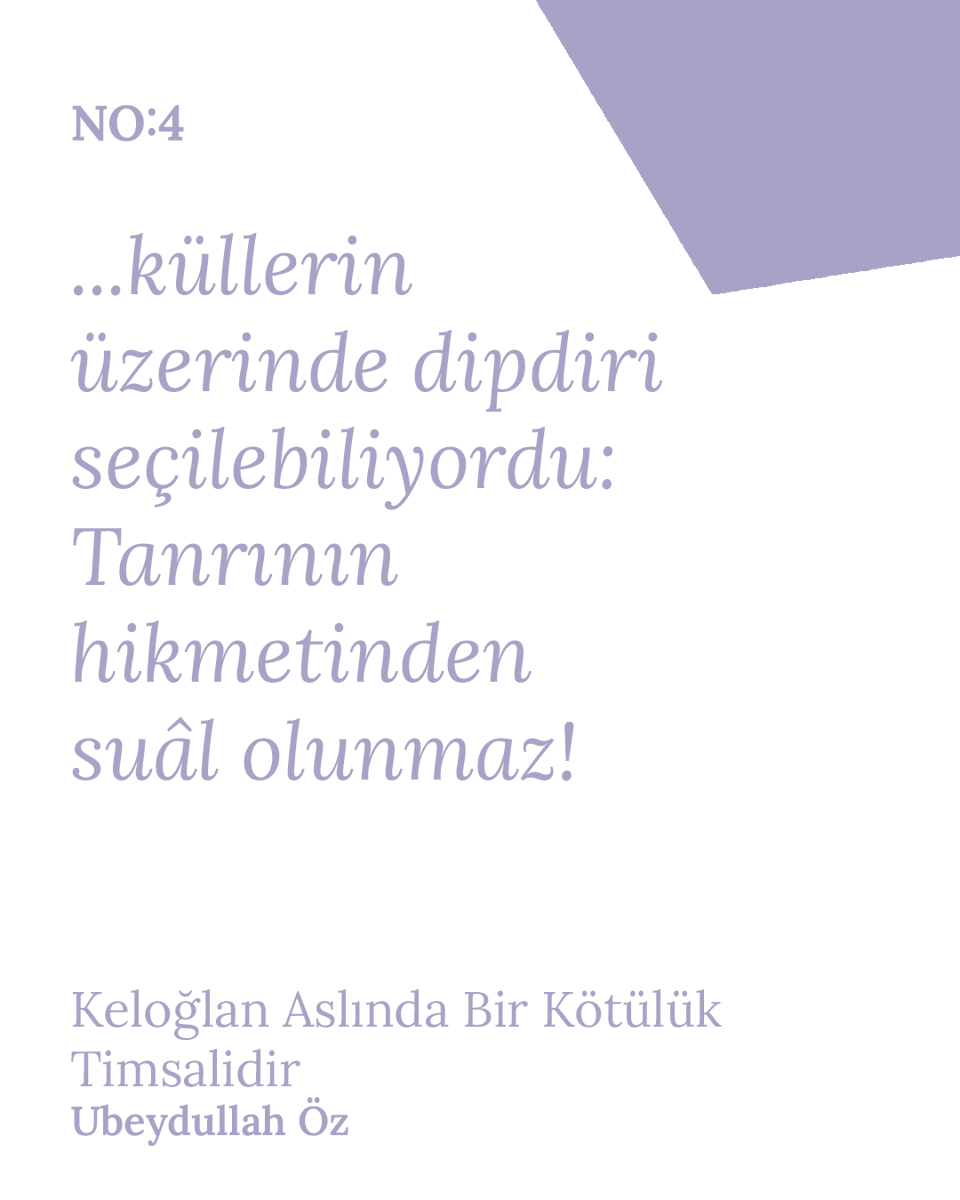 NO:4 - ''öykü nakavt eder!''