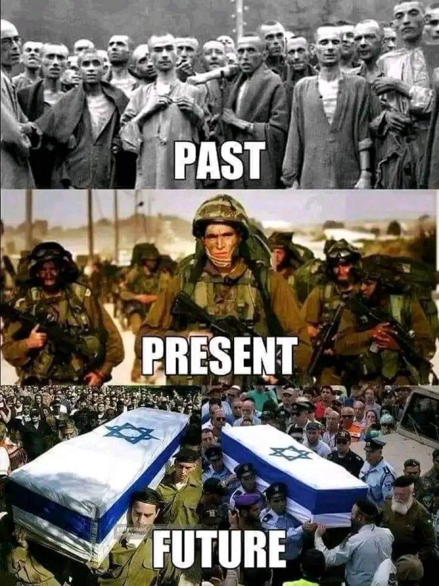 Keykavous tweet media