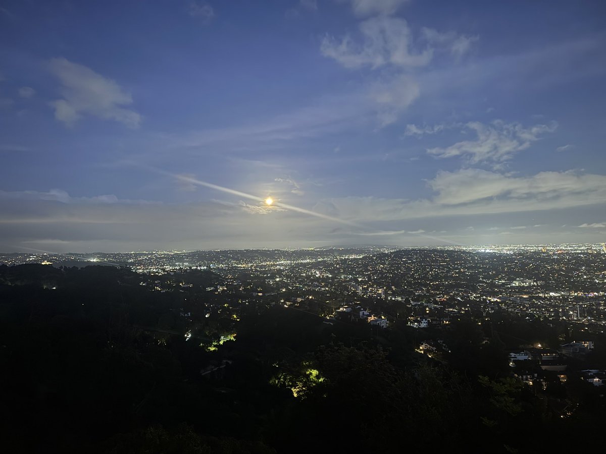 Caleb Peng tweet media