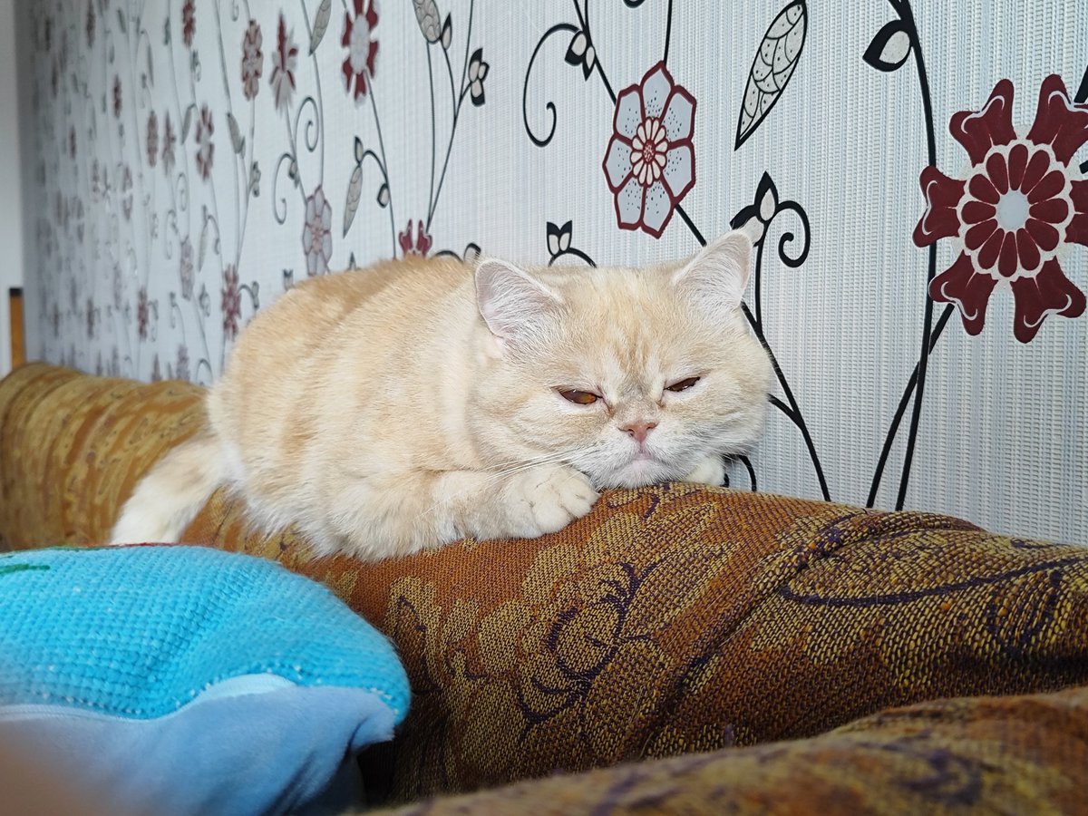 post a random picture and everything will go good in april