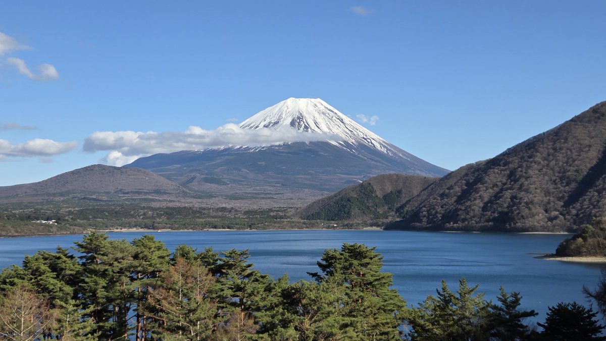 さえぴ～ tweet media