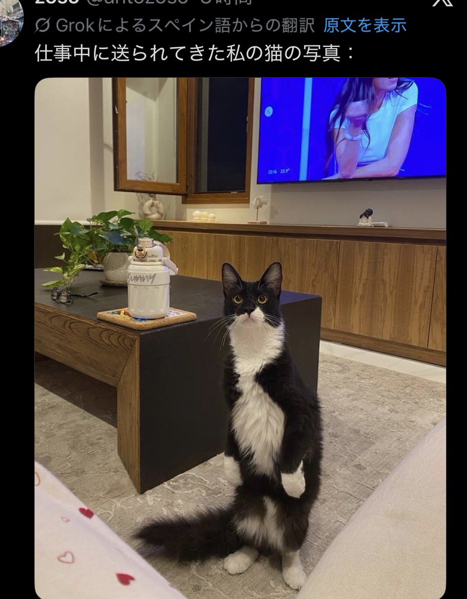 沢渡零一郎 tweet media