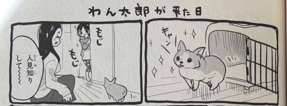 アッ…わん太郎の歳、開示されてたんですね…!
2009年…「わん太郎が来た日」の杏奈ちゃん(4歳になる年)は長袖着てたから春生まれなのかな?
2021年春前の今、そろそろ12歳になるのね……
#僕ヤバ 