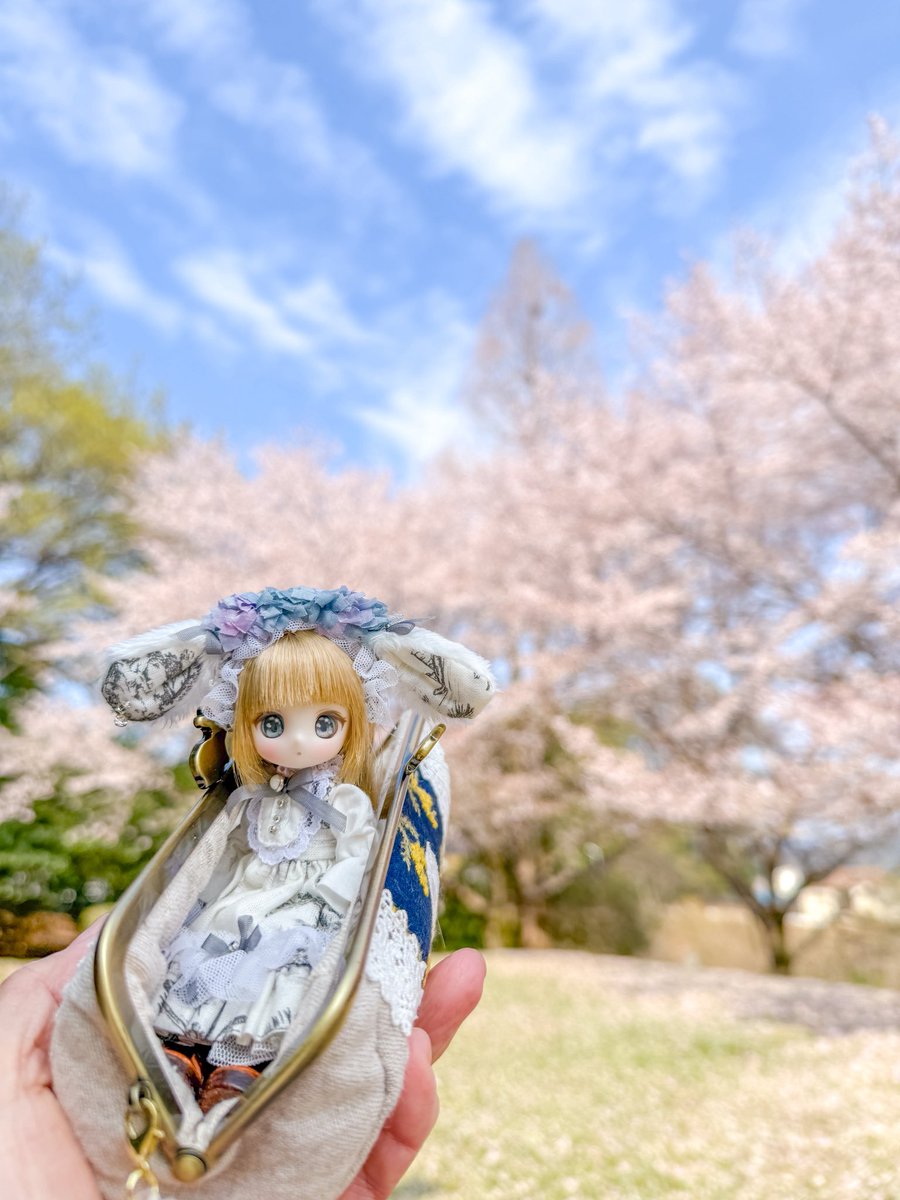 オレンジペコ tweet media