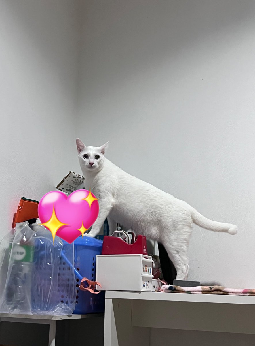 aปุ้ม tweet media