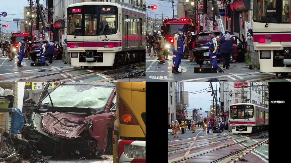 🐾ナンデヤネン tweet media