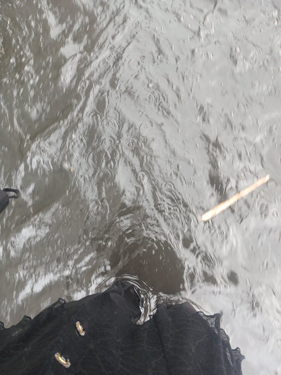 Soda⋆𐙚‧₊˚🍑💗 tweet media