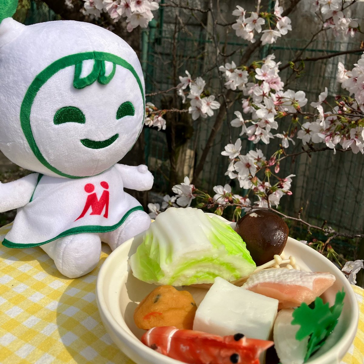 生マロニーちゃん公式 tweet media