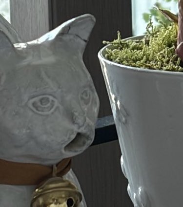 我是啵啵 🍿️ tweet media