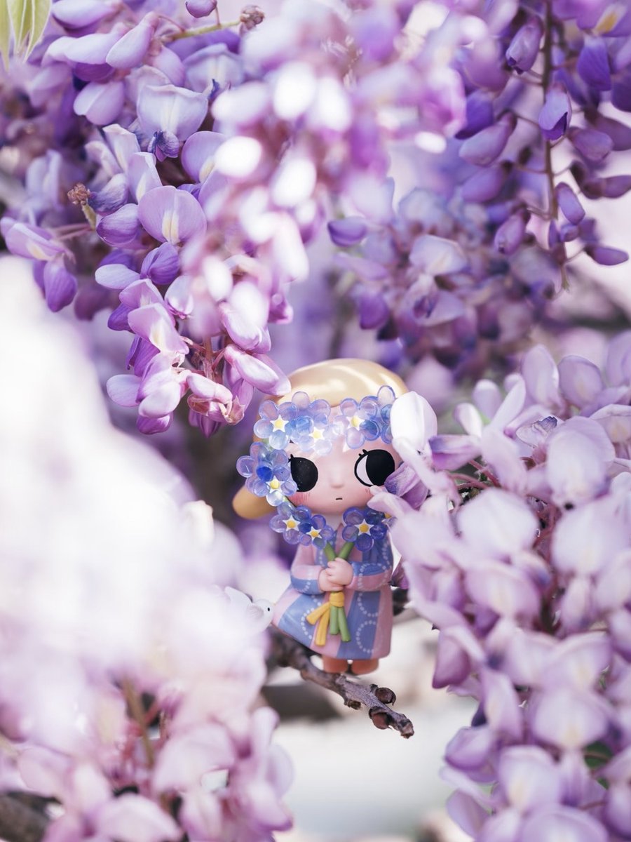 POPMARTGlobal's tweet photo. Spring’s in full bloom🌸
Take your little one out and enjoy the day.
📷credit: @圆圆个Rachel, @明天不要赖床baby, @一颗小星星 and @白苏 from XiaoHongShu! 🌟
#POPMART #spring #goforawalk #twinkletwinkle #dimoo #blindbox https://t.co/9pJbaTqE6H