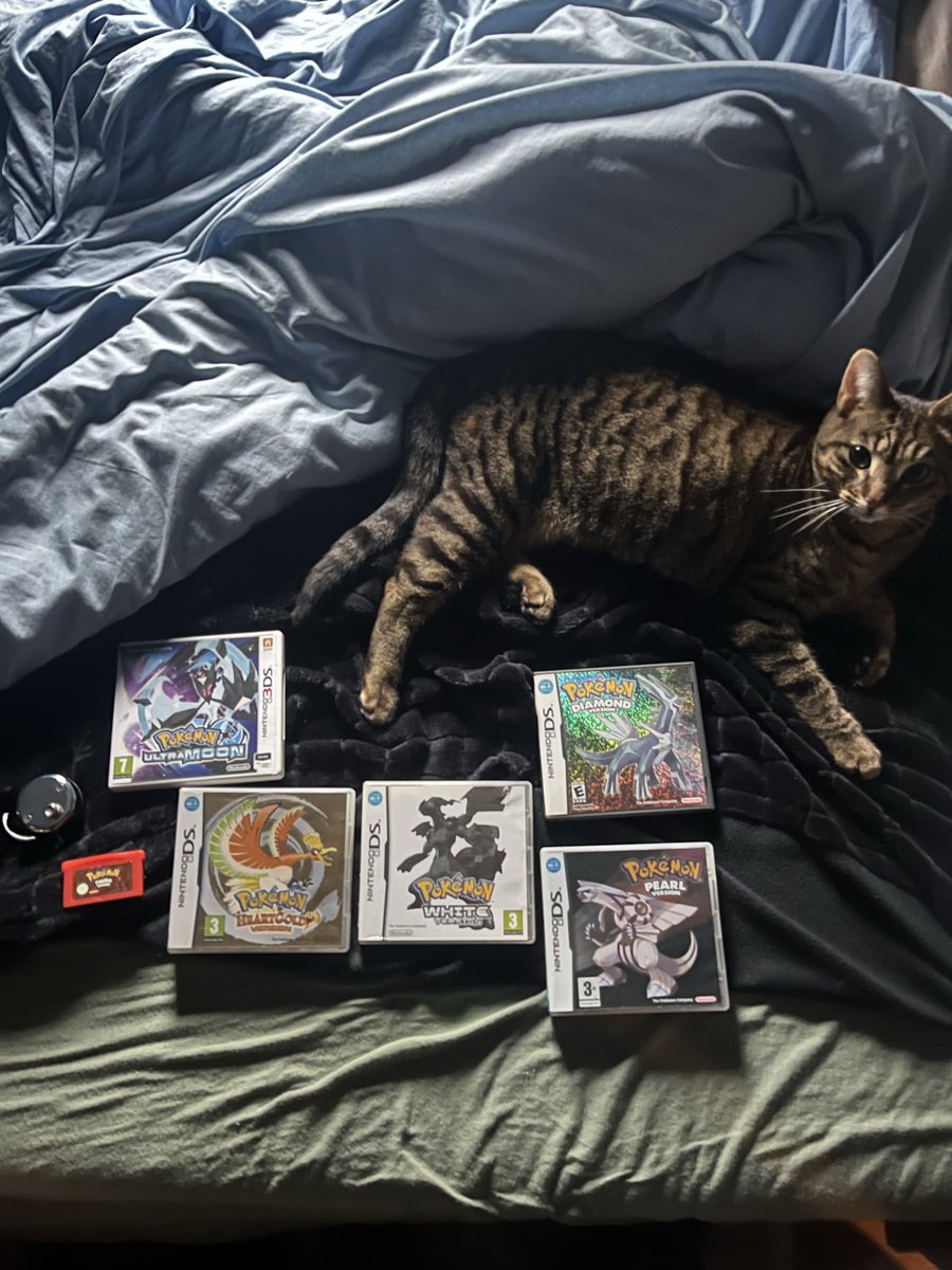 squashii1000's tweet image. gonna be hunting some more this year #onthegrind