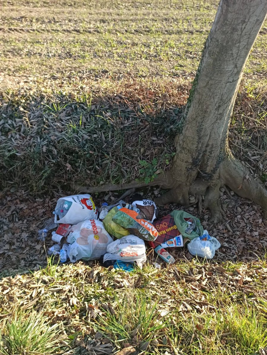 SeverioSettimo's tweet image. Chi non fa' nemmeno la #differenziata

Spariti i cassonetti chi ha un affitto in #nero non può certo farsi ritirare la spazzatura tantomeno paga le tasse

Però il "criminale educato" ha il suo stile: sacchetto ben chiuso e regolarmente per strada

@fdragoni @GiorgiaMeloni