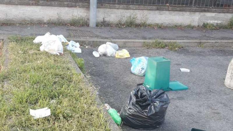 SeverioSettimo's tweet image. Chi non fa' nemmeno la #differenziata

Spariti i cassonetti chi ha un affitto in #nero non può certo farsi ritirare la spazzatura tantomeno paga le tasse

Però il "criminale educato" ha il suo stile: sacchetto ben chiuso e regolarmente per strada

@fdragoni @GiorgiaMeloni