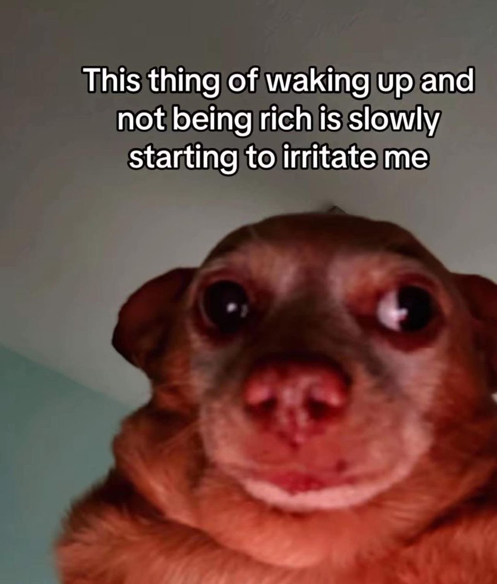 ~𝐄𝐥𝐢𝐳𝐚 ⭕️✍️ tweet media