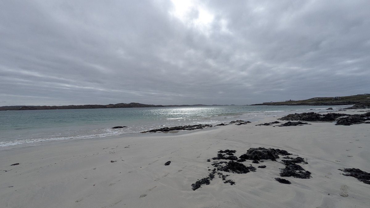 EdgeofMull tweet media