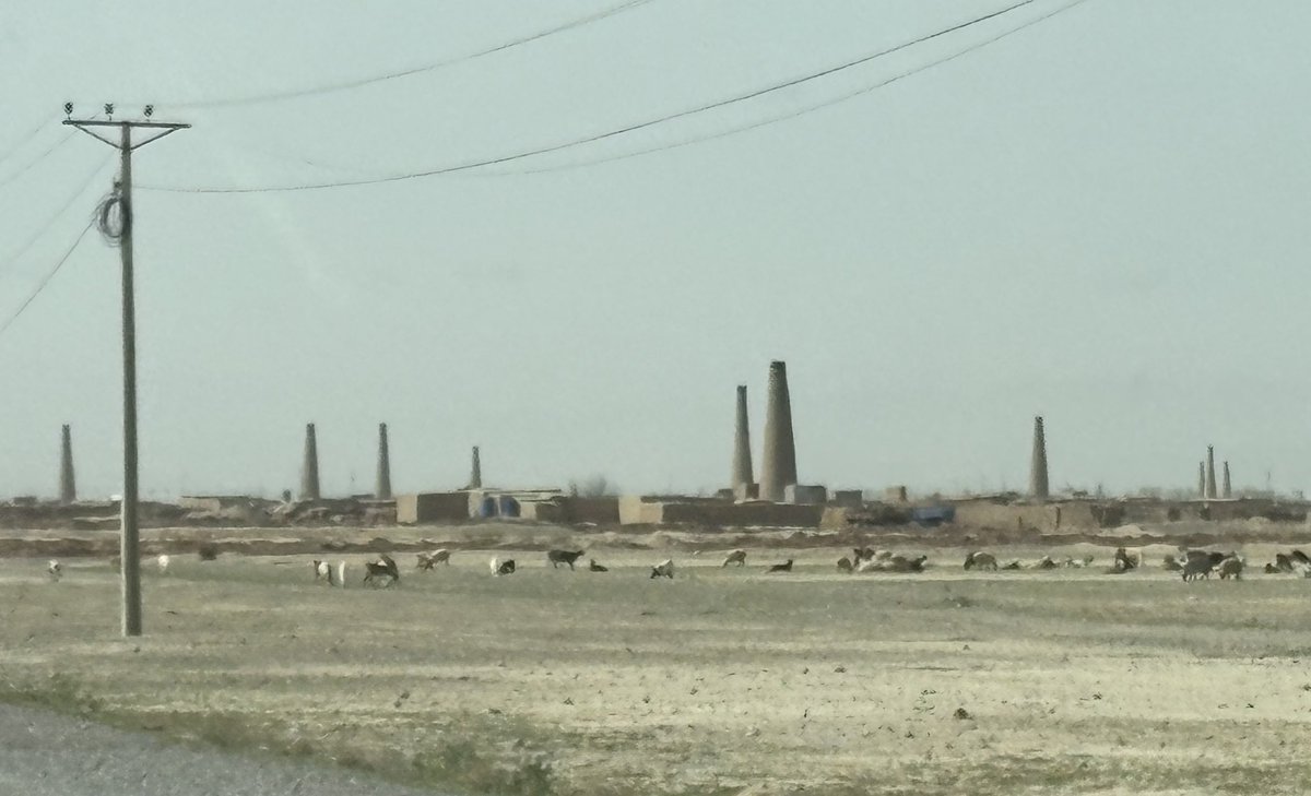 Hiro Kay（比呂啓） tweet media