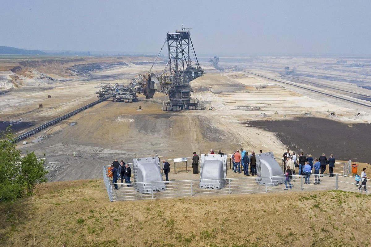 Zweifler 🦉 🫎 tweet media