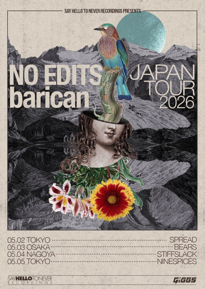 SAY HELLO TO NEVER RECORDINGS tweet media