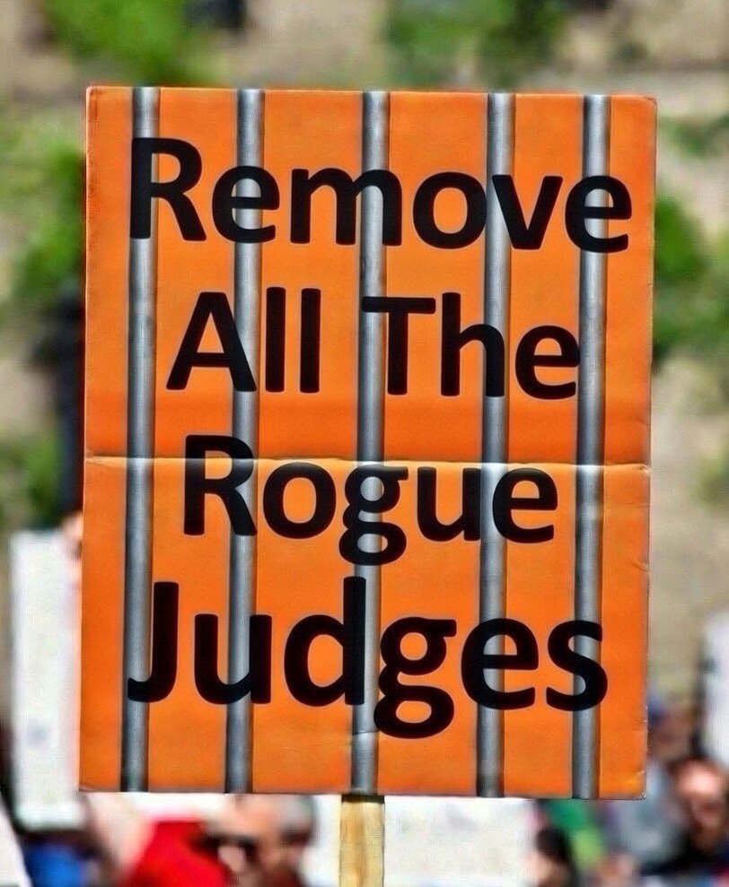 Dr. Paul lee tweet media