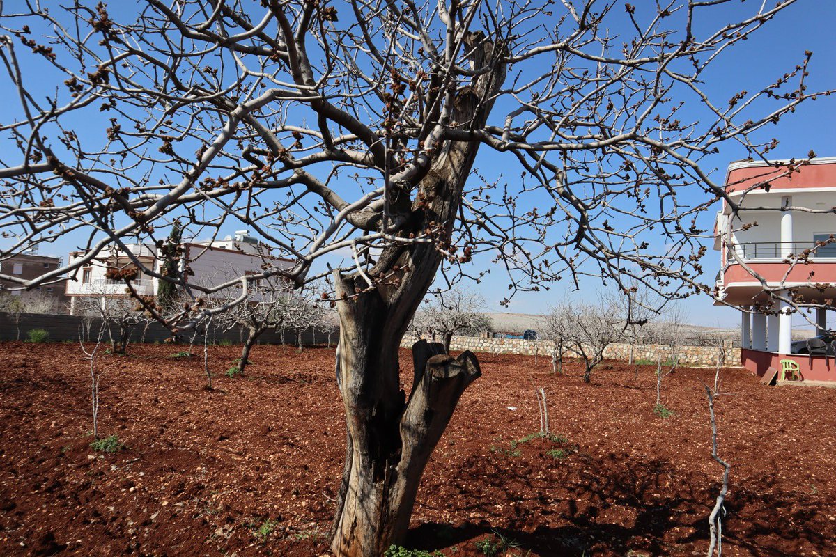 Reyhan Hacıoğlu tweet media