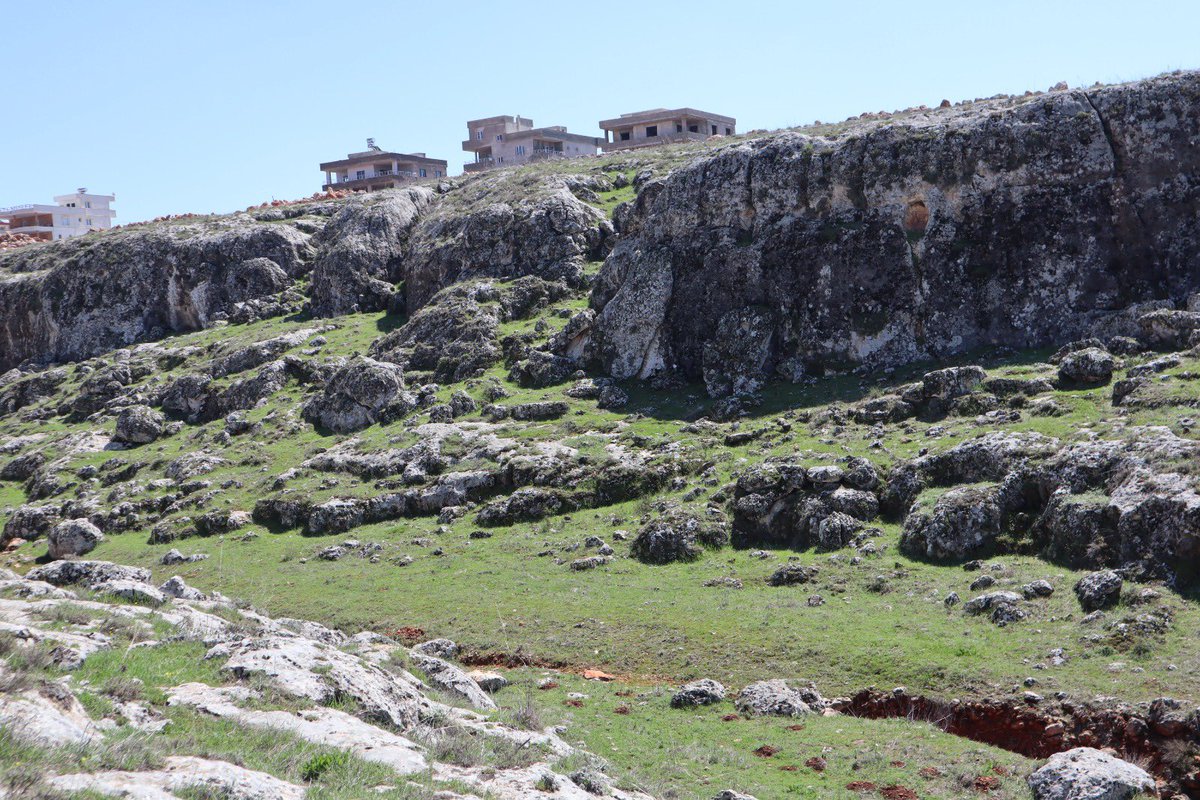 Reyhan Hacıoğlu tweet media