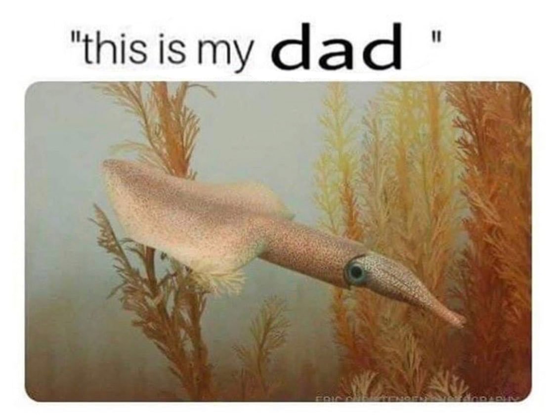 elizabeth 🏳️⚧️ 🍉 tweet media