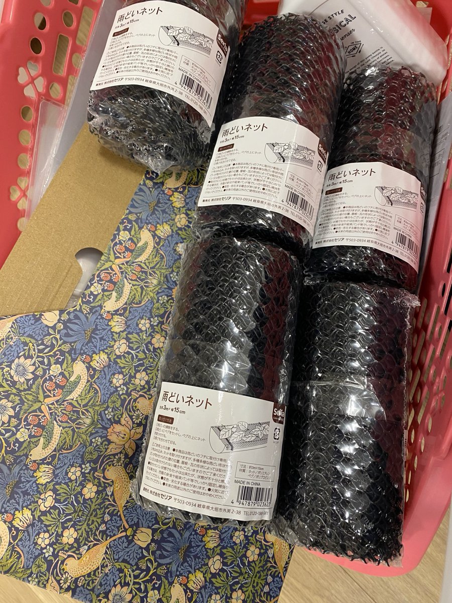 謳うヤモリ tweet media