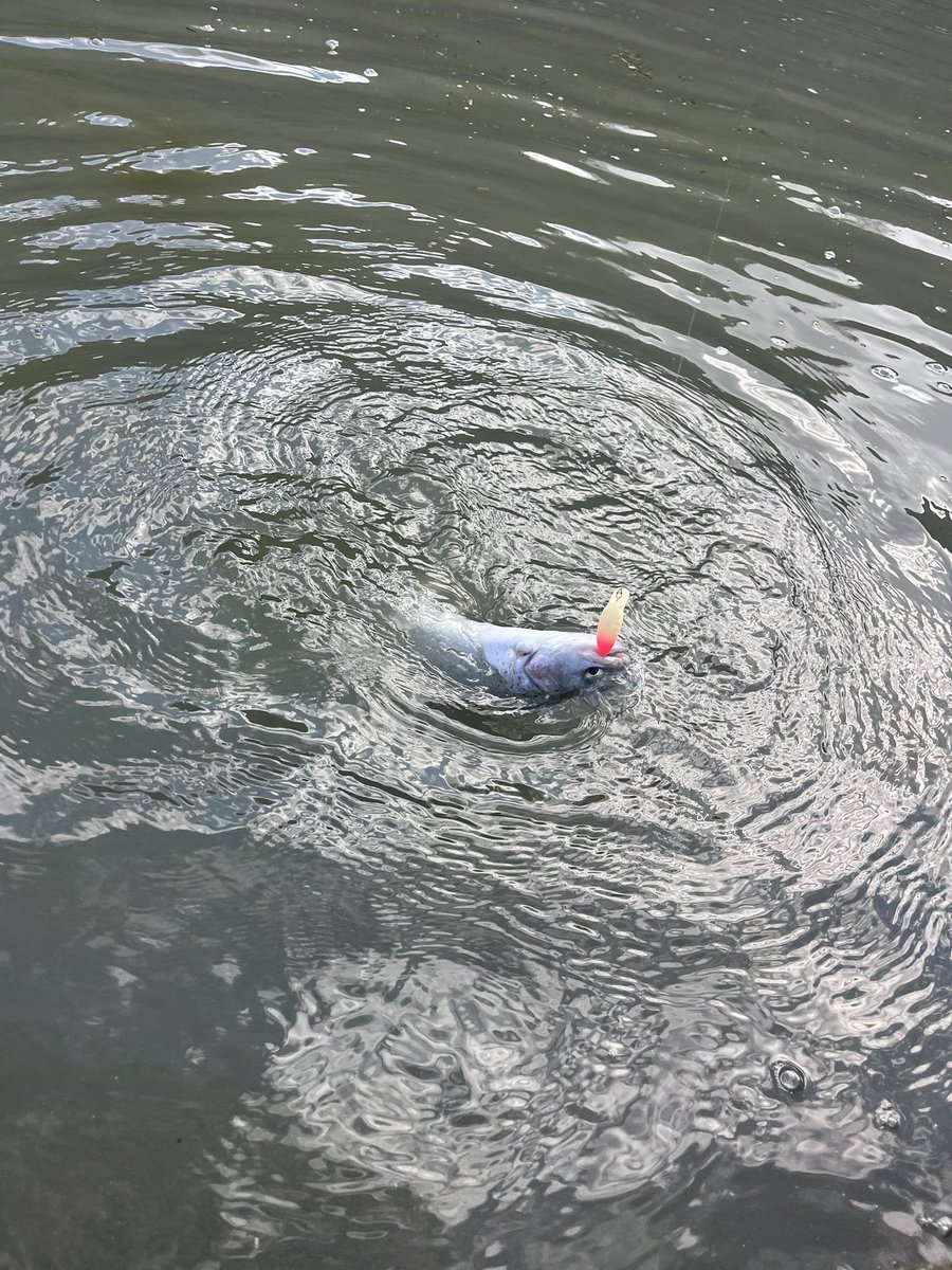 渡邊安時 tweet media