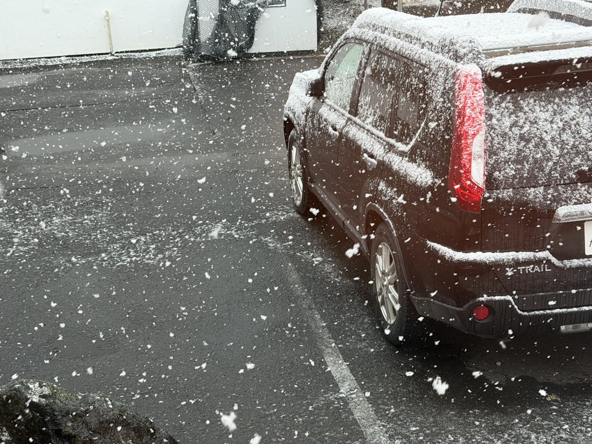 めがらい🦁株式会社サムネバカ tweet media