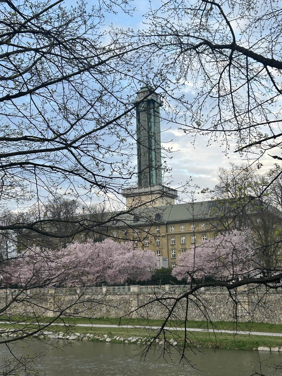 klusova08's tweet photo. @jakubnohavica Jsou ostravské. Jsou. 
Odolné. Jsou. Nezlomné. 
Neboj. Nezmrznou 😎
🌸

#haiku 
#Ostrava https://t.co/Gf043sMqtz