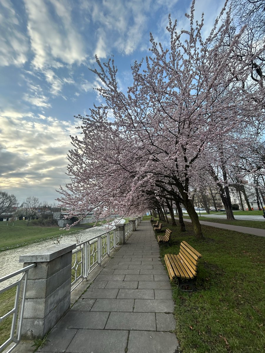klusova08's tweet photo. @jakubnohavica Jsou ostravské. Jsou. 
Odolné. Jsou. Nezlomné. 
Neboj. Nezmrznou 😎
🌸

#haiku 
#Ostrava https://t.co/Gf043sMqtz