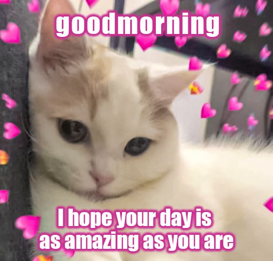 Farhan⚡ tweet media