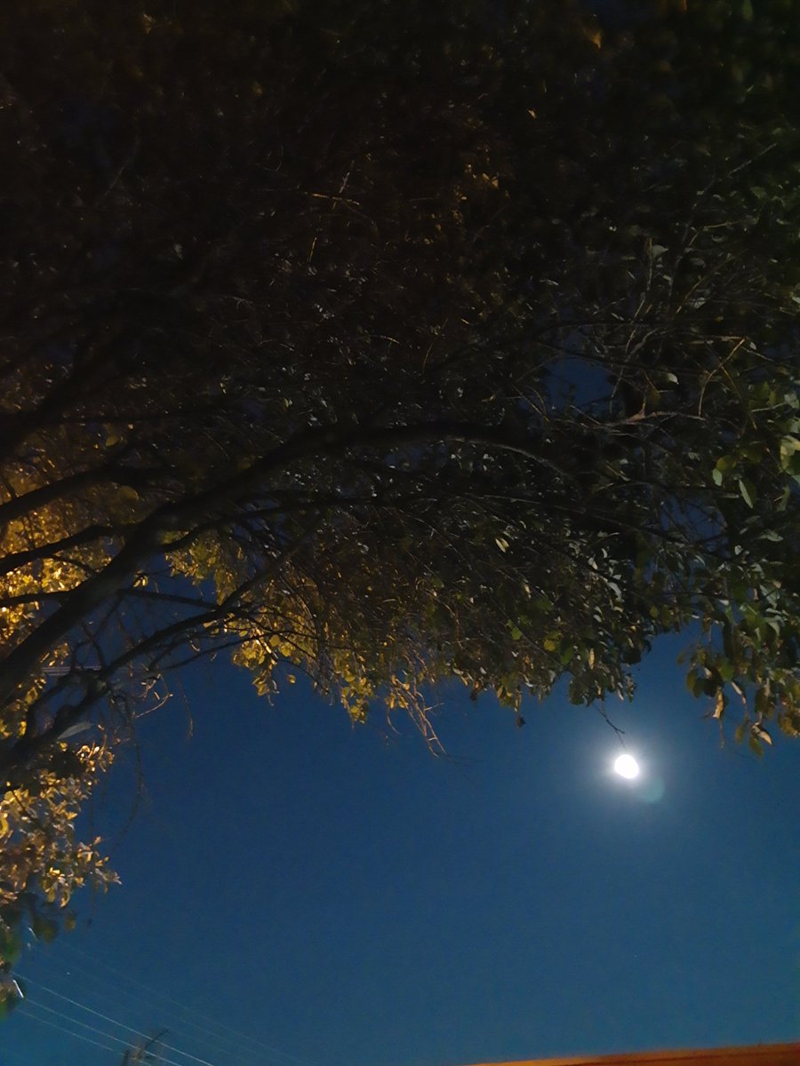 emms_2's tweet photo. Observar la Luna es taaaan terapéutico.  🌕🌺🩷 https://t.co/sBKhfRr5Pr