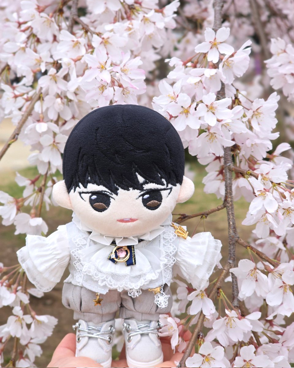 _ILRYY_'s tweet photo. 🌸 https://t.co/LjIQBjKoI6
