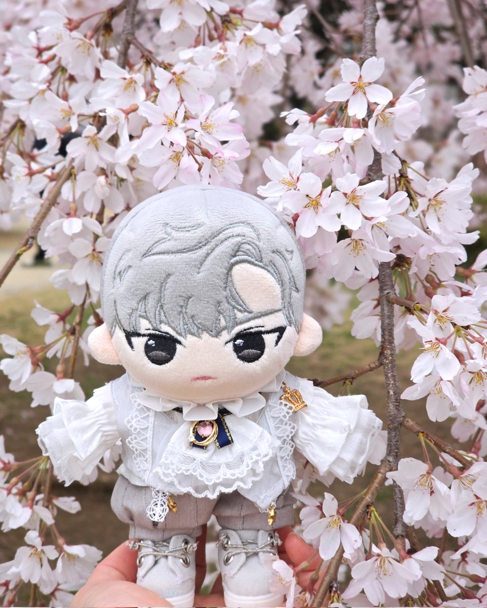 _ILRYY_'s tweet photo. 🌸 https://t.co/LjIQBjKoI6