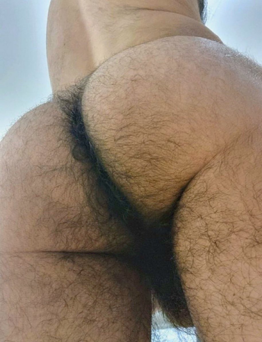 Culos Peludos 🍑 tweet media