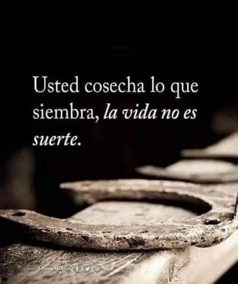 Escuela de Vida (@escueladevida21) on Twitter photo 