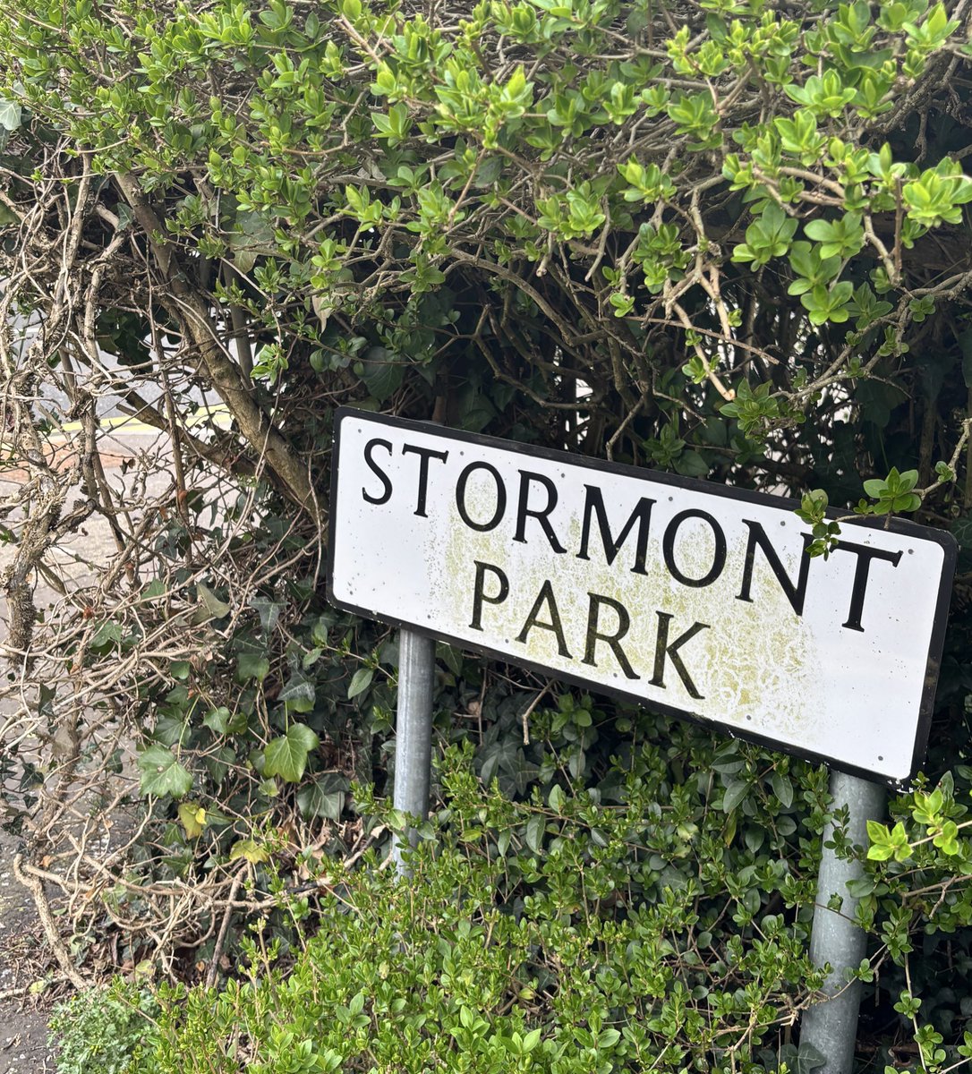 Mark Simpson tweet media