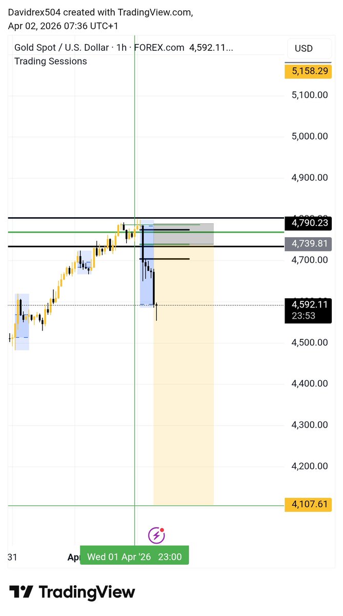 Trader Rex tweet media
