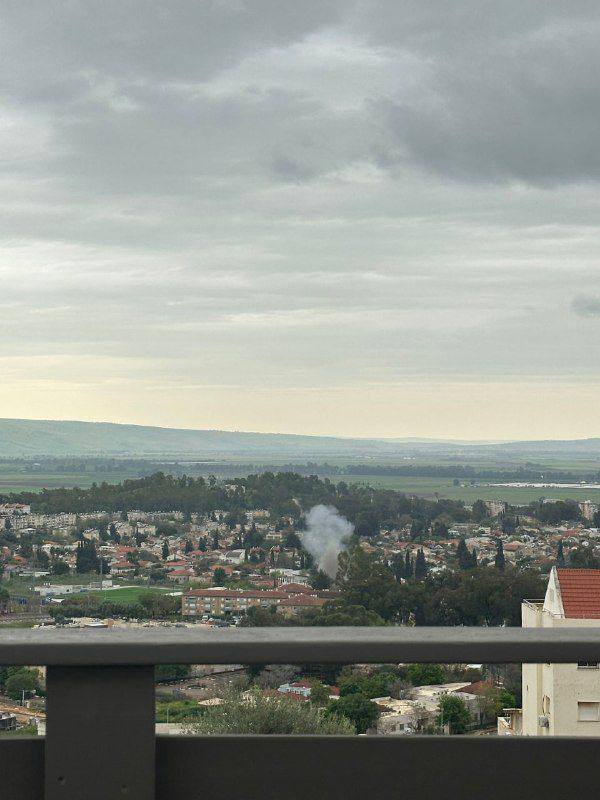 משה موشي جرادي Moshi tweet media