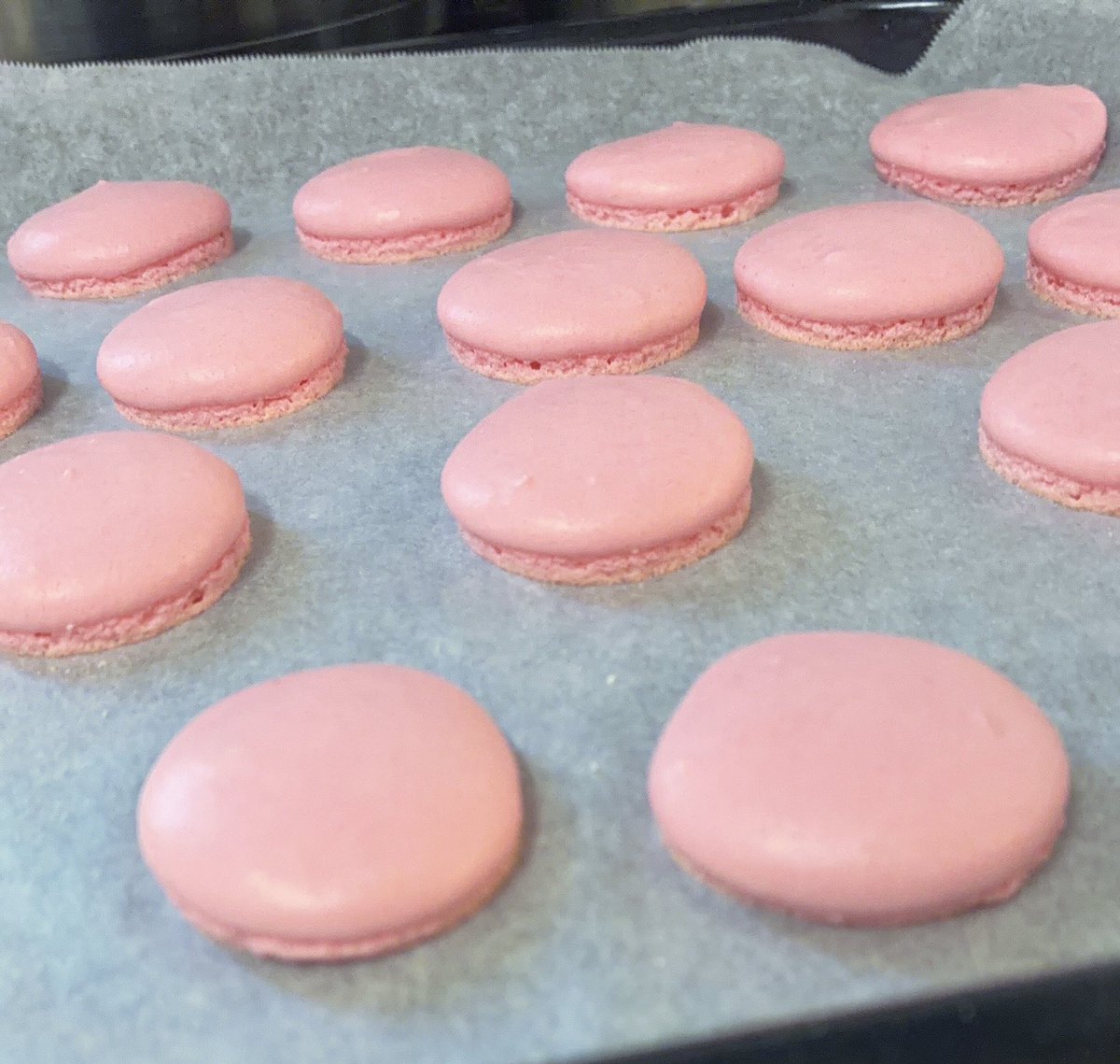 𝒪𝓉ℴ💛 tweet media